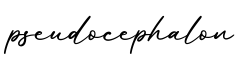 单词pseudocephalon书写