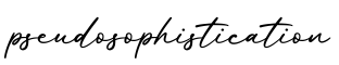 单词pseudosophistication书写