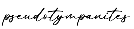 单词pseudotympanites书写