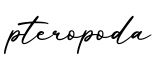 单词pteropoda书写