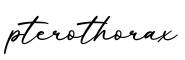 单词pterothorax书写
