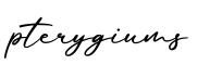 单词pterygiums书写