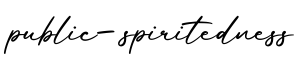 单词public-spiritedness书写