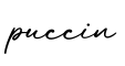 单词puccin书写