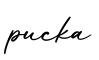 单词pucka书写