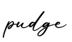 单词pudge书写