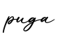单词puga书写