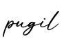 单词pugil书写