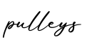 单词pulleys书写