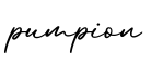 单词pumpion书写