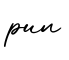 单词pun书写