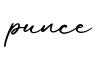 单词punce书写