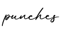 单词punches书写