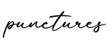 单词punctures书写