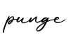 单词punge书写