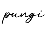 单词pungi书写