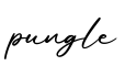 单词pungle书写