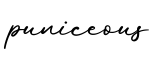 单词puniceous书写