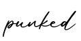 单词punked书写