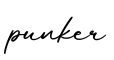 单词punker书写
