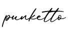 单词punketto书写