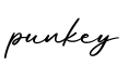 单词punkey书写