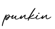 单词punkin书写