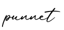 单词punnet书写