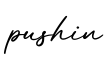 单词pushin书写