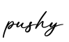 单词pushy书写