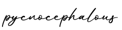 单词pycnocephalous书写