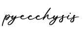 单词pyecchysis书写