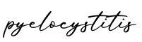 单词pyelocystitis书写