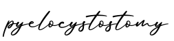 单词pyelocystostomy书写