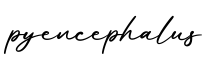 单词pyencephalus书写