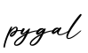 单词pygal书写
