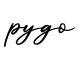单词pygo书写