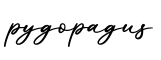 单词pygopagus书写