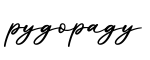 单词pygopagy书写