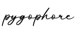 单词pygophore书写