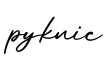 单词pyknic书写