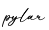 单词pylar书写