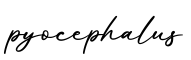 单词pyocephalus书写
