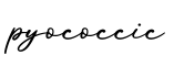 单词pyococcic书写