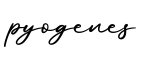 单词pyogenes书写