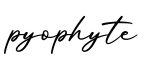 单词pyophyte书写