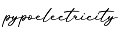 单词pypoelectricity书写