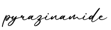 单词pyrazinamide书写