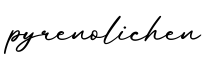 单词pyrenolichen书写