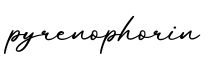 单词pyrenophorin书写